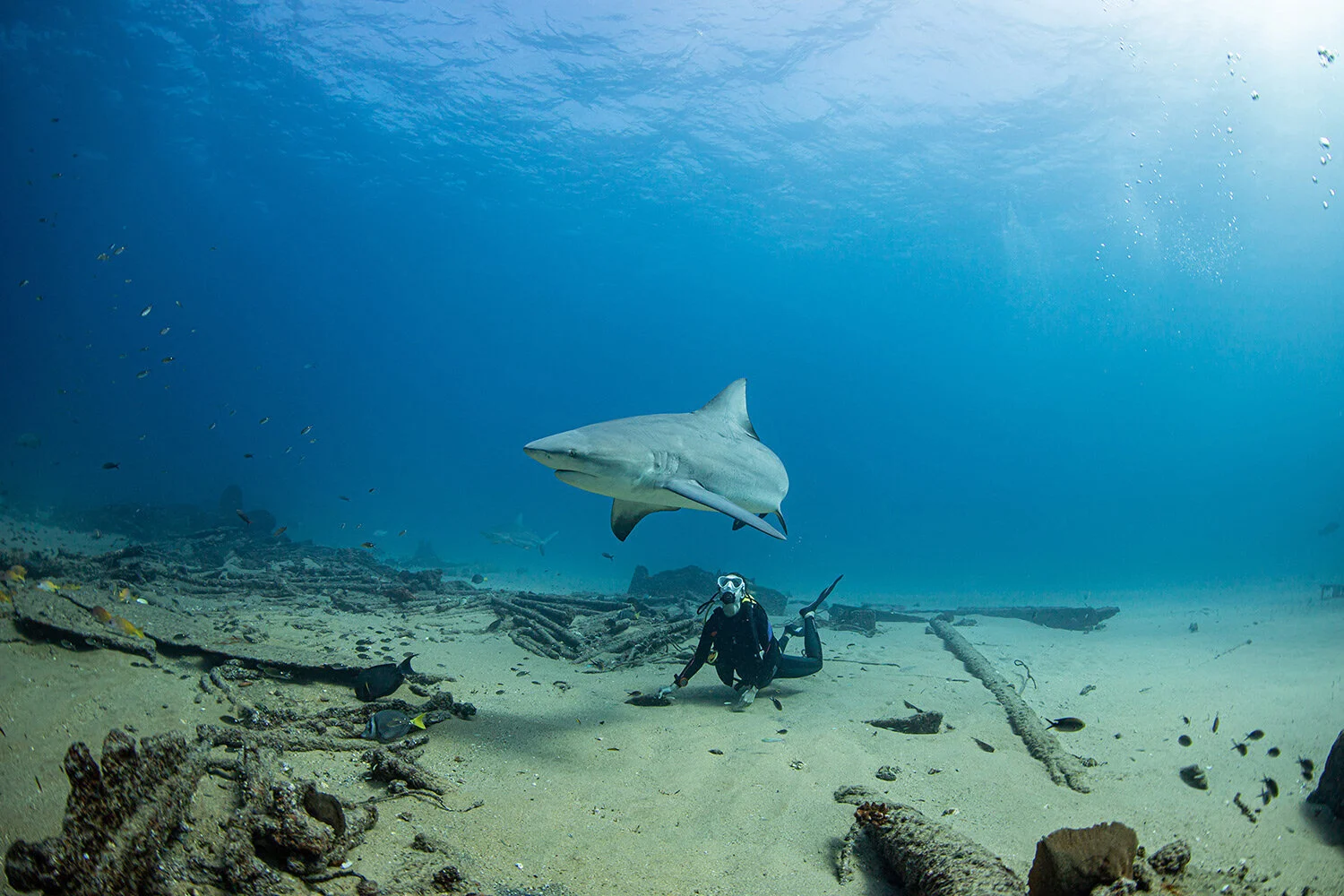 Photo_Website_Main_Page